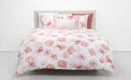 Zinnia A19.828