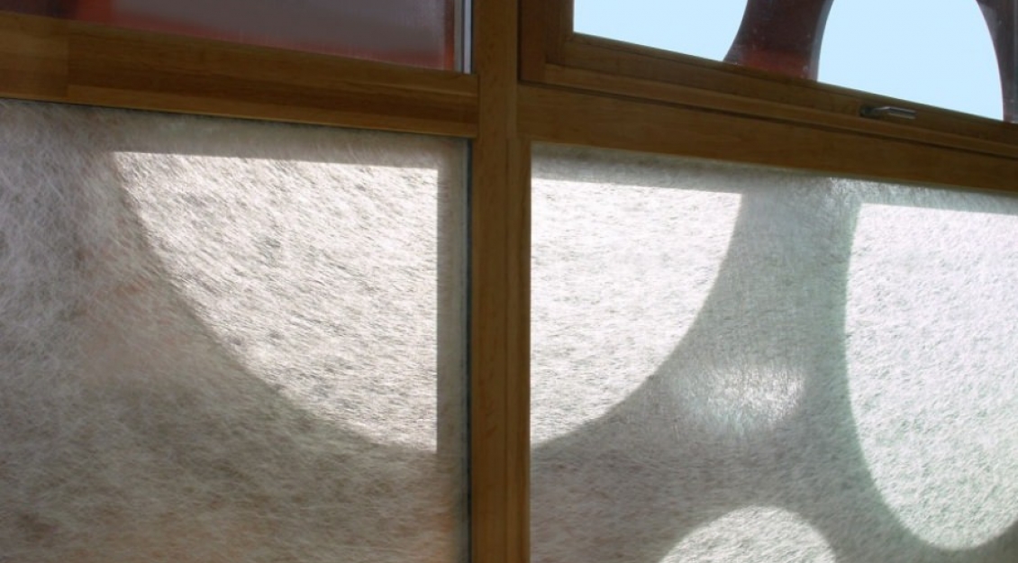 GECKO im Spiel von Licht und Schatten