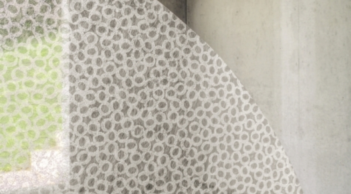 GECKO Crypta Orbit Detailansicht